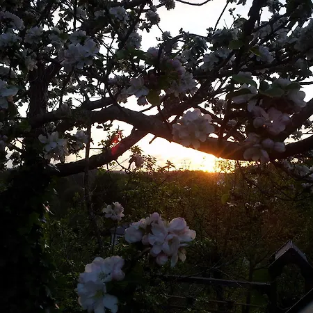 Séjour à la campagne Casa De Sixto *