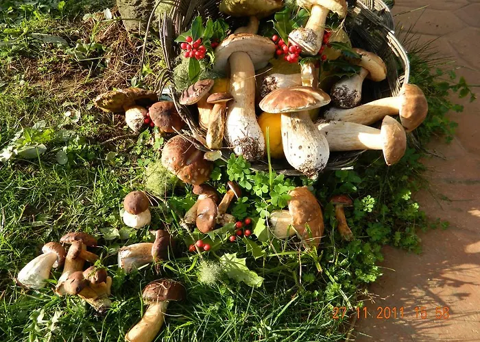 Casa De Sixto Летний дом Падерне