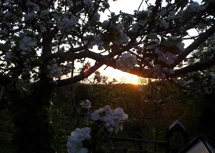 Летний дом Casa De Sixto *